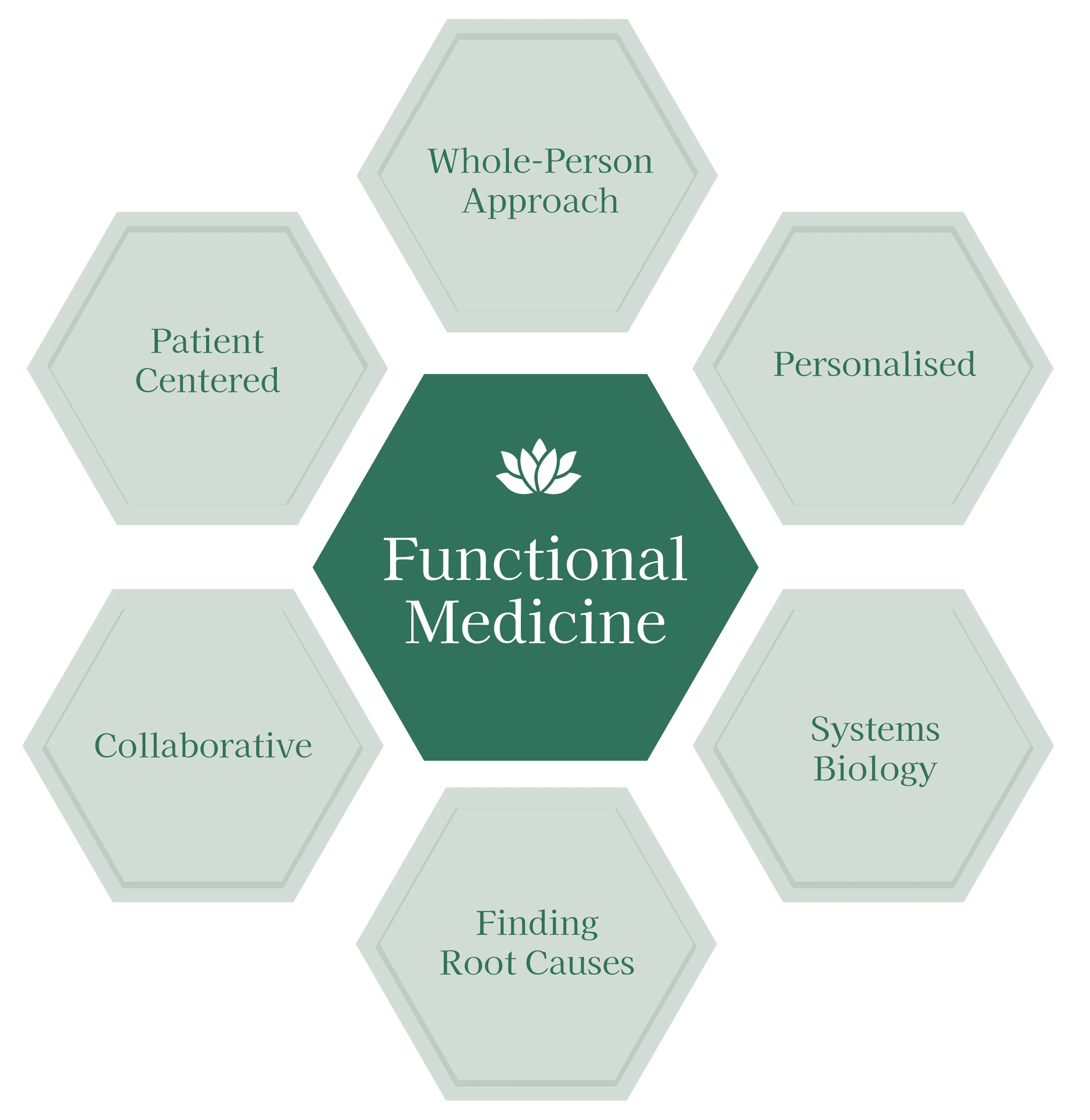 Hexagonal diagram illustrating key principles of Functional Medicine, including Patient Centered, Whole-Person Approach, Personalised, Collaborative, Systems Biology, and Finding Root Causes, centered around a lotus logo.