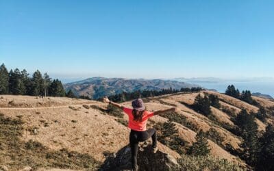 The Health Restore Program: A Personalized Path Back to Energy, Balance, and Long-Term Wellness